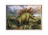 Interessante Dinosaurier 4 in 1 Puzzle - Trefl