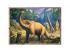 Interessante Dinosaurier 4 in 1 Puzzle - Trefl