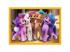 My Little Pony: My Little Pony 4 in 1-Puzzle - Trefl