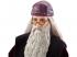 Harry Potter und die Kammer des Schreckens: Professor Dumbledore Puppe - Mattel