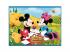 Disney: Mickey und Minnie Puzzle und Memory Card 2 in 1 Set - Trefl