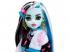 Monster High : Frankie Stein Puppe mit Haustier und Zubehör - Mattel