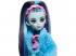 Monster High: Creepover Party Frankie Puppe mit Zubehör - Mattel