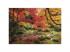 Herbst im Park 1500 Teile HQC-Puzzle 84,5x59,5cm - Clementoni