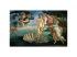 Botticelli: Geburt der Venus Museum HQC puzzle 2000pcs - Clementoni