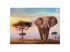 Clementoni Puzzle African Sunrise, 500 Stück