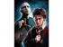 Harry Potter: Voldemort und Harry Potter 500teiliges Puzzle - Clementoni