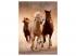 Clementoni Puzzle Horses, 1000st.