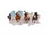 Clementoni Panorama Puzzle Horses, 1000st.