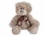 Teddybär Plüsch - 25 cm, verschiedene