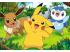 Puzzle 2x24 Teile - Pokemon