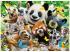 Puzzle 300 Teile - Wildlife Selfie