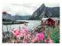 Puzzle 1000 Teile - Reine, Lofoten, Norwegen