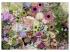 Puzzle 1000 Teile - Wunderbare Liebe zu den Blumen