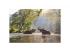 Animal Planet: Elefanten im Teich 1000pcs puzzle