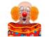 LUXUS CLOWN KAPPE MIT LOCKIGEN HAAREN