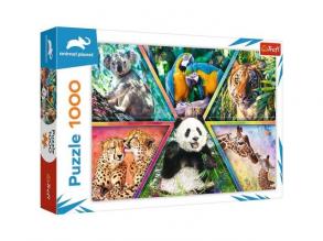 Animal Planet: Animal Kingdoms 1000teiliges Puzzle - Trefl