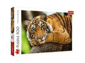 Tiger Porträt 500pcs Puzzle - Trefl