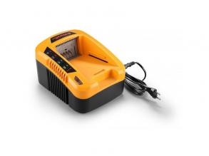 Riwall RAC 540 40V 5A Batterieladegerät