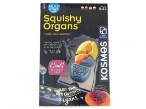 Fun Science - Squishy Organs Spielset -Piatnik