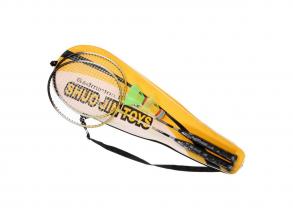 Badmintonset in Tasche