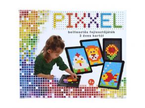 Pixxel Plug-in Entwickler Spiel