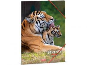 Ars Una: Serenity Tiger Gummimappe, Ordner A/4