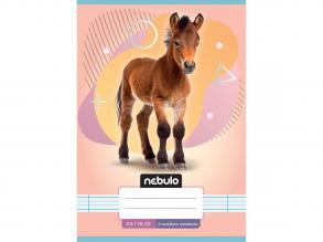 Nebulo: Nadelheft 2. Klasse A5 16-32 Tiere - Reitsport