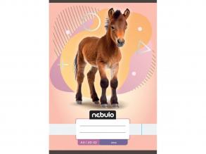 Nebulo: Notizbuch mit Nadelprägung A5 20-32 Tiere - Reitsport