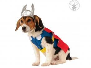 Thor Hundekostüm