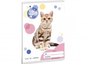 Ars Una: Niedliche Tiere - American Shorthair Cat 2. Klasse liniertes Notizbuch 32 Seiten A/5