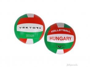 Vektory Volleyball Ungarn