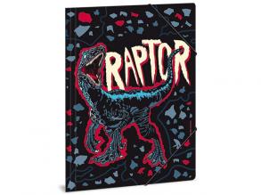 Raptor-Mappe A/4