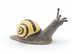 Schnecke