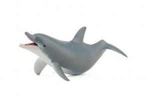 Verspielter Delfin