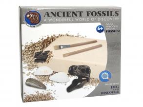 Archäologen-Set - Fossilien