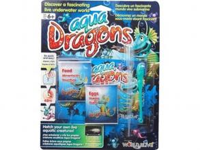 Aqua Dragons Unterwasserwelt Lebewesen