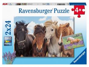 Puzzle 2x24 Teile - Pferde