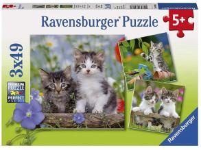 Puzzle 3x49 Teile - Süße Kätzchen