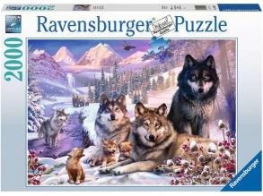 Puzzle 2000 Teile - Wölfe im Schnee