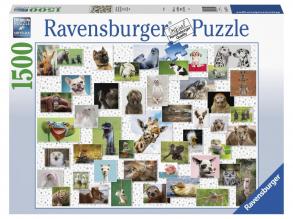 Puzzle 1500 Teile - Lustige Tiere