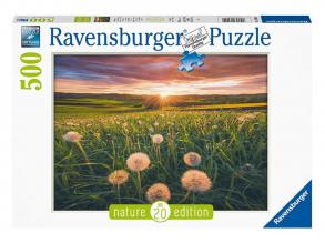 Puzzle 500 Teile - Löwenzahn bei Sonnenuntergang