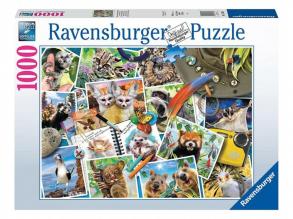 Puzzle 1000 Teile - Der Reisende