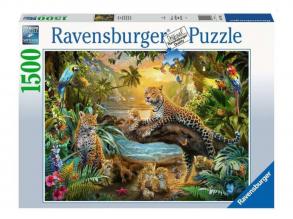 Puzzle 1500 Teile - Leoparden im Dschungel