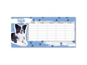 Ars Una: Cute Animals Border Collie einseitiger, doppelseitiger Stundenplan